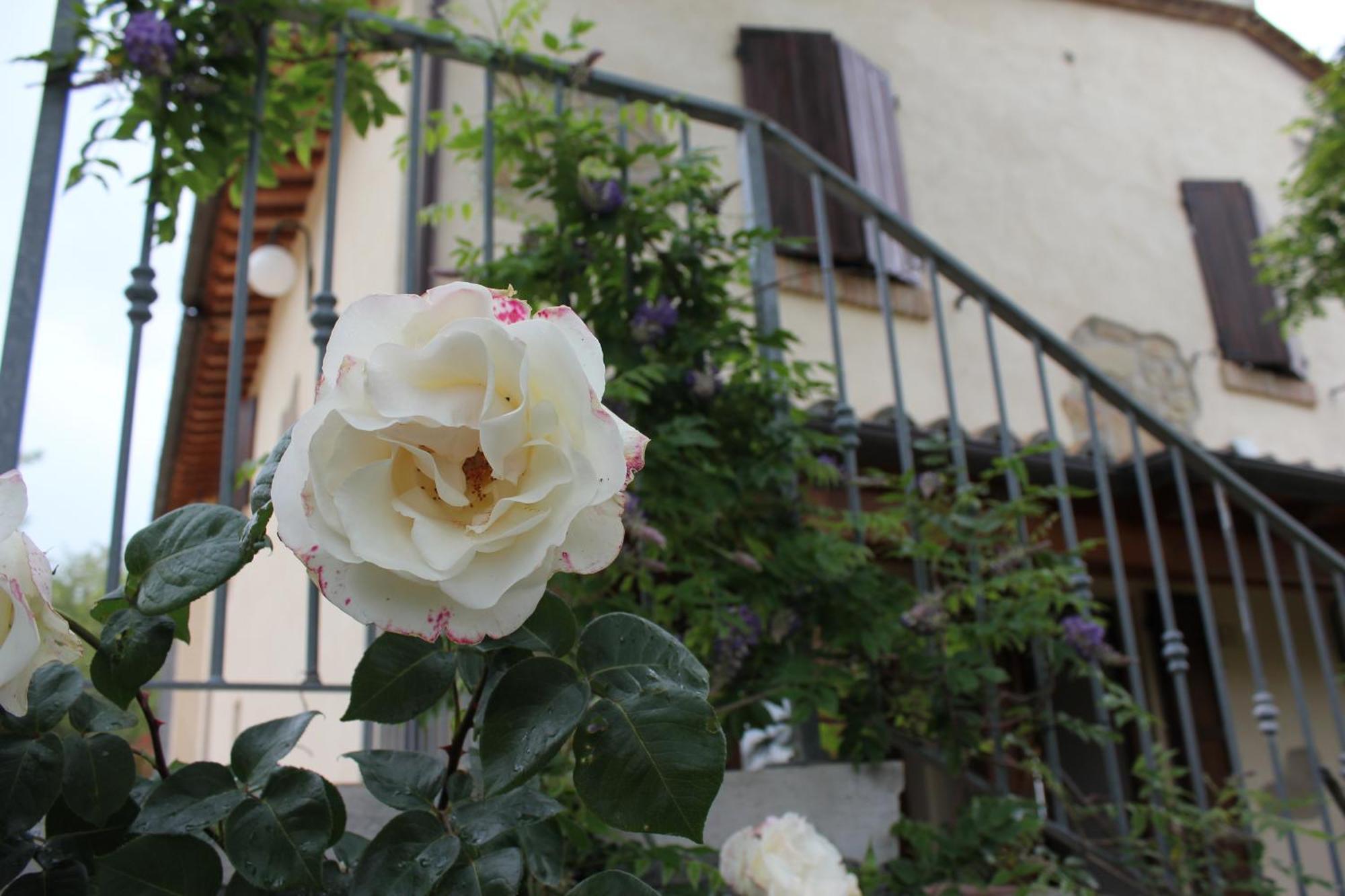 Agriturismo La Valle Del Vento Urbino Kültér fotó
