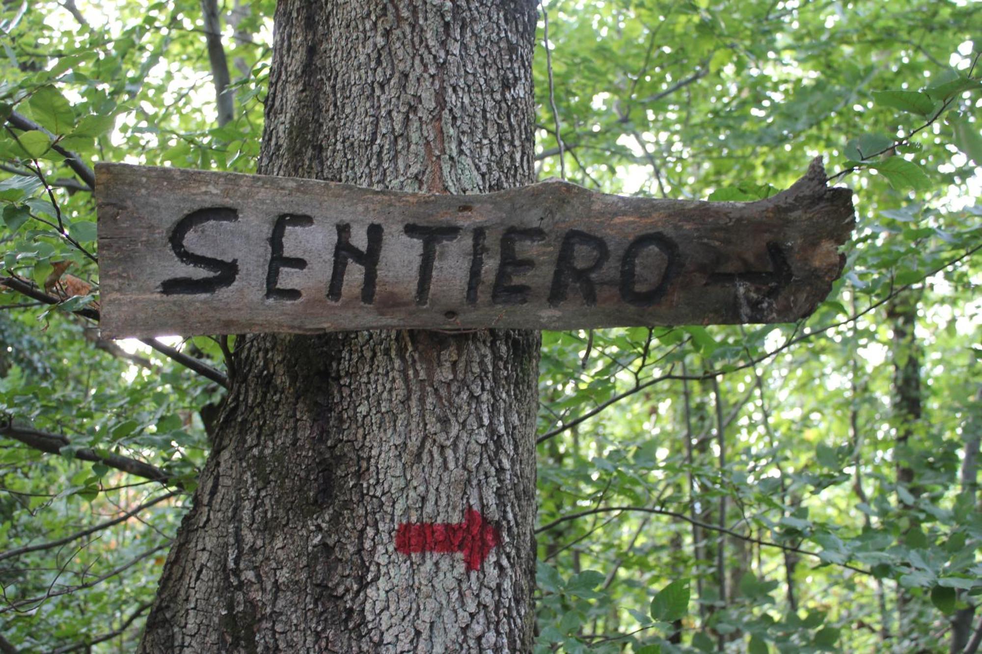 Agriturismo La Valle Del Vento Urbino Kültér fotó
