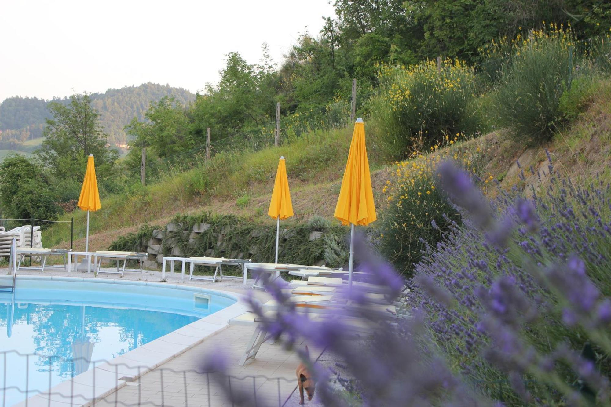 Agriturismo La Valle Del Vento Urbino Kültér fotó