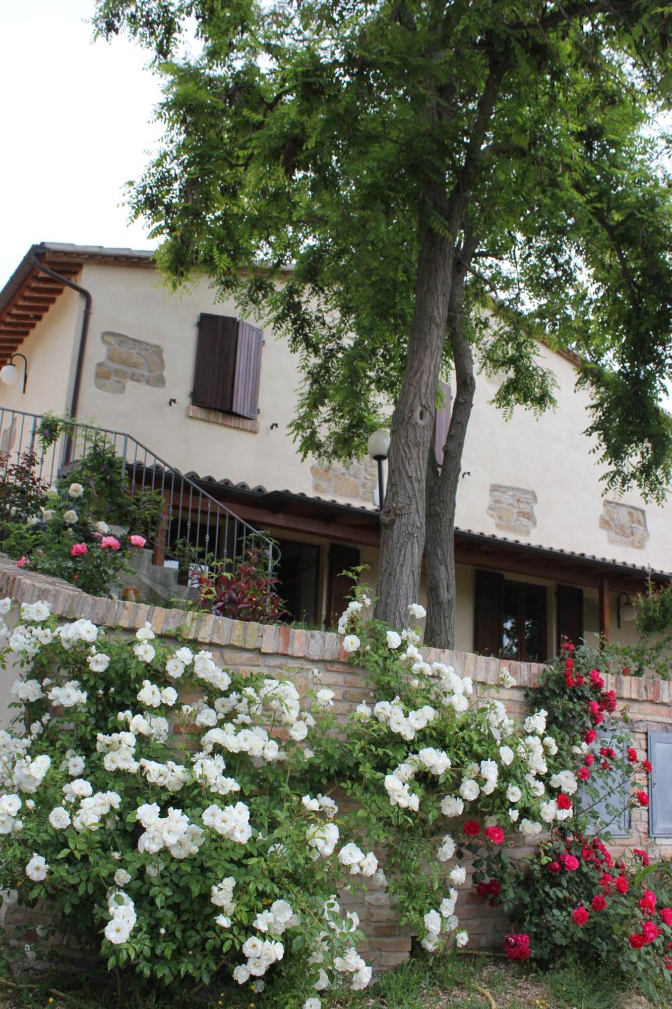 Agriturismo La Valle Del Vento Urbino Kültér fotó