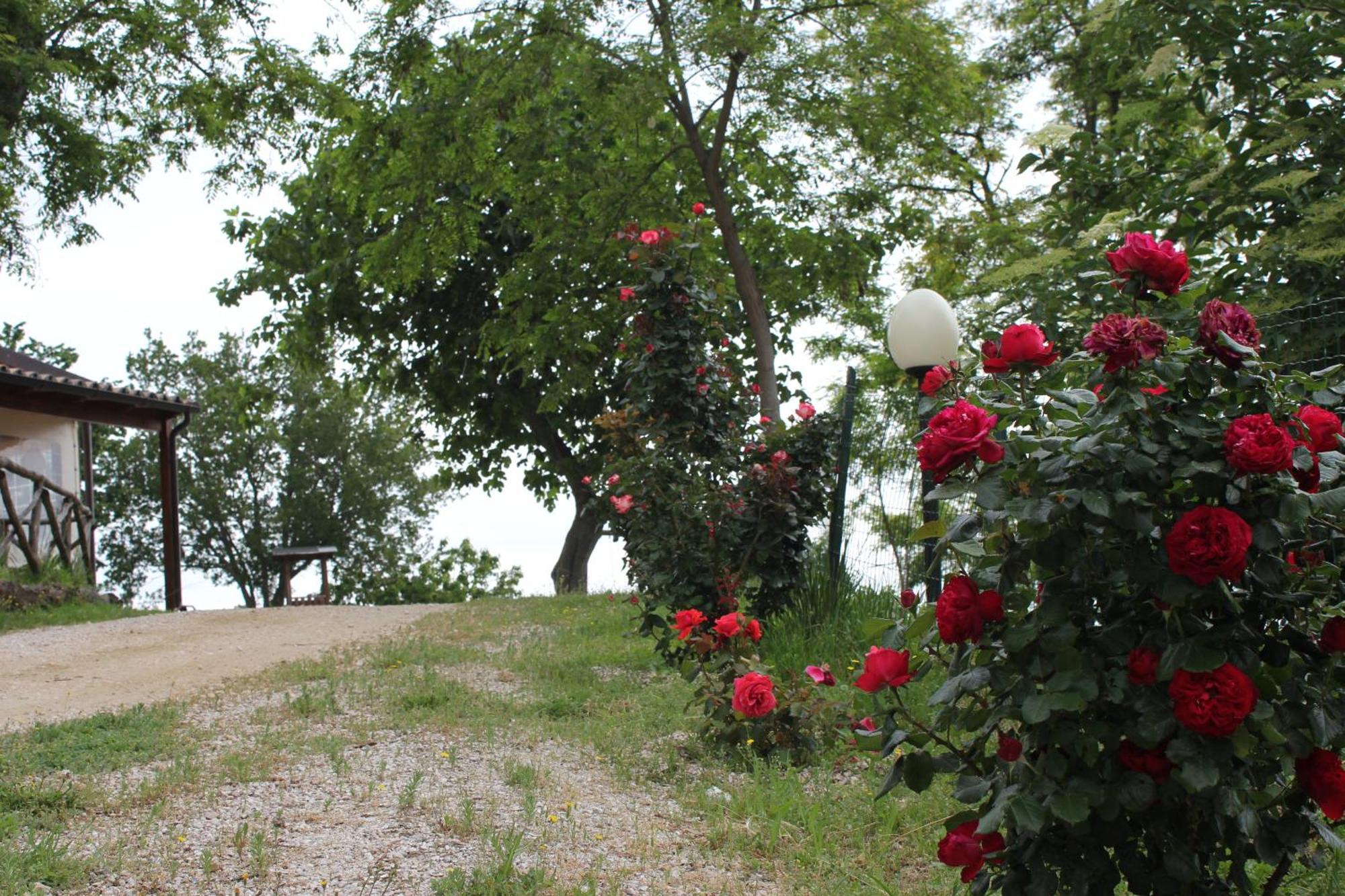 Agriturismo La Valle Del Vento Urbino Kültér fotó
